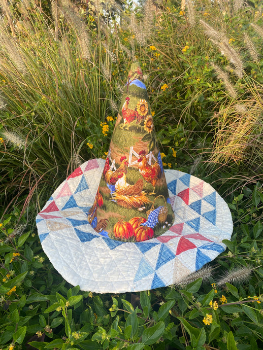 chicken witch hat